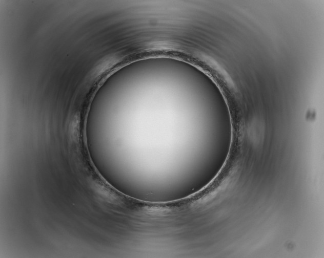 X0000102850825200808251200