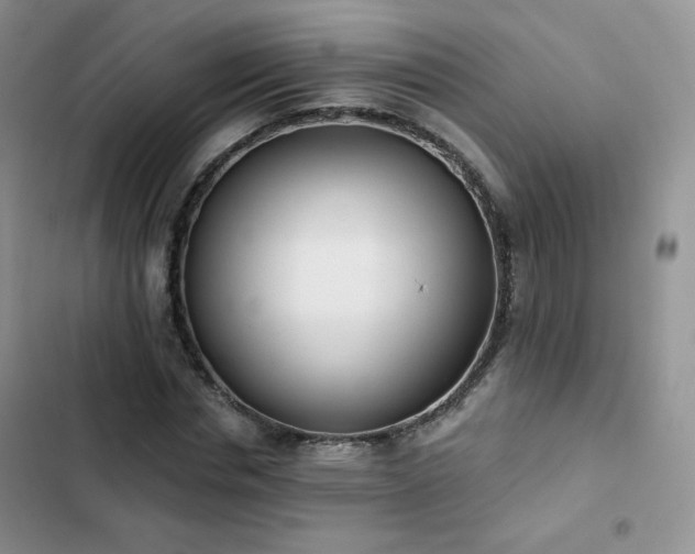 X0000102850826200808251200