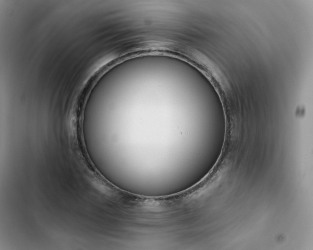 X0000102850827200808251200