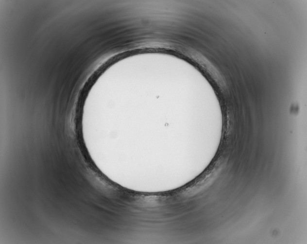 X0000102850828200808251200