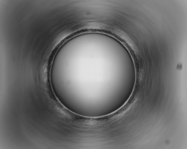 X0000102850829200808251200
