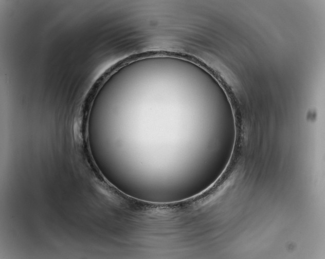 X0000102850830200808251200