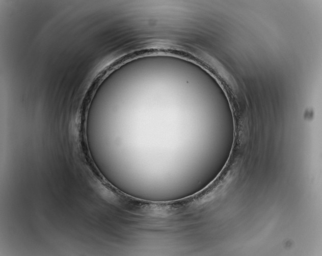 X0000102850831200808251200