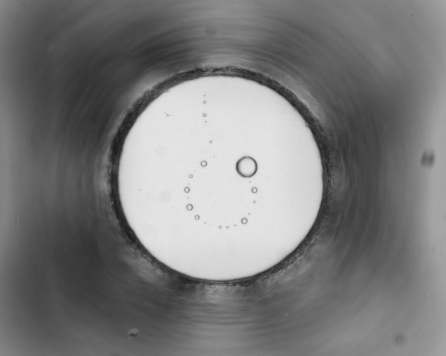 X0000102850832200808251200