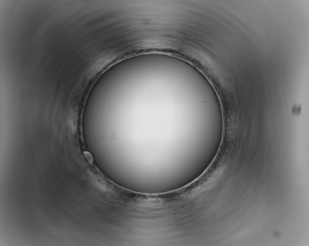 X0000102850833200808251200