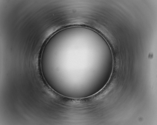 X0000102850834200808251200