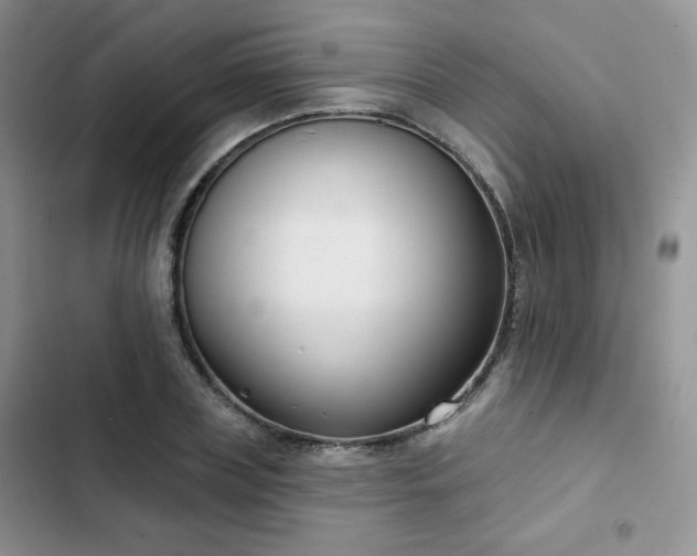 X0000102850835200808251200