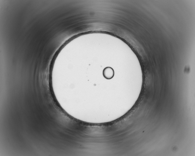 X0000102850836200808251200