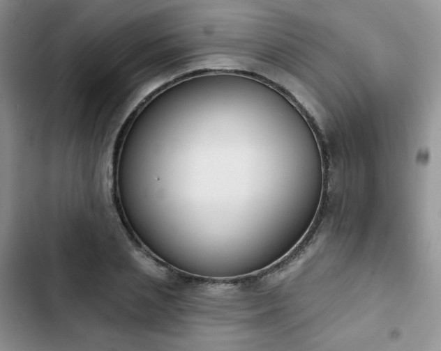 X0000102850837200808251200