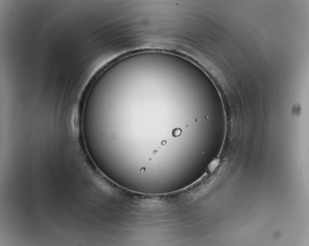 X0000102850838200808251200