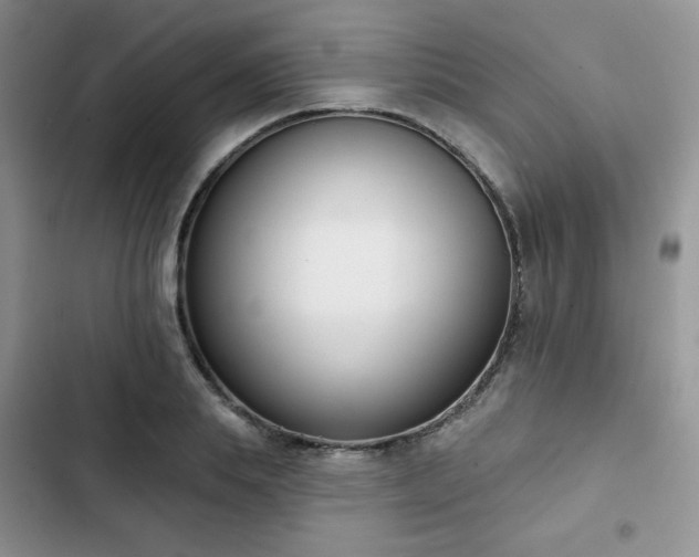 X0000102850839200808251201