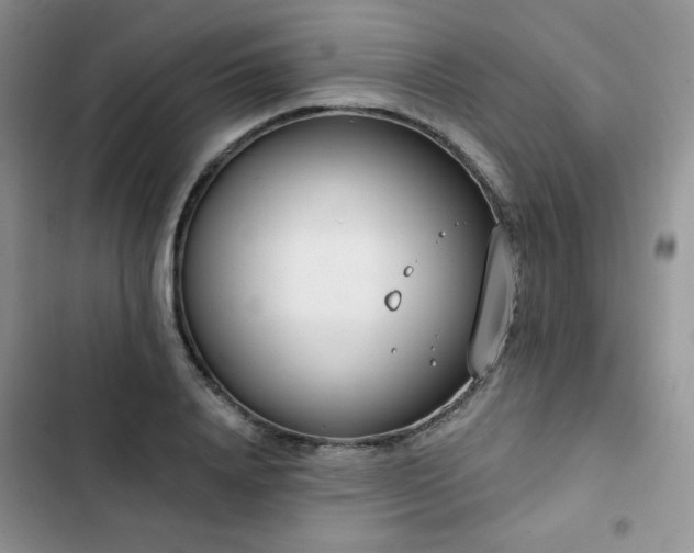 X0000102850840200808251201