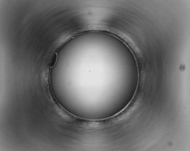 X0000102850841200808251201