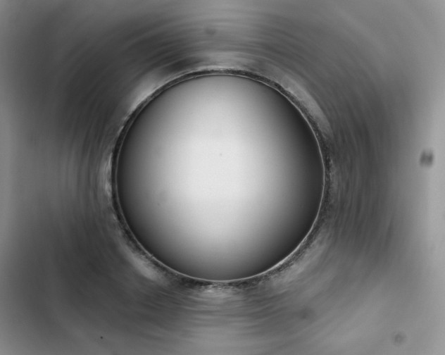 X0000102850842200808251201