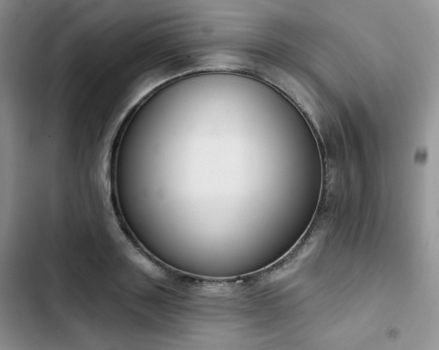 X0000102850843200808251201