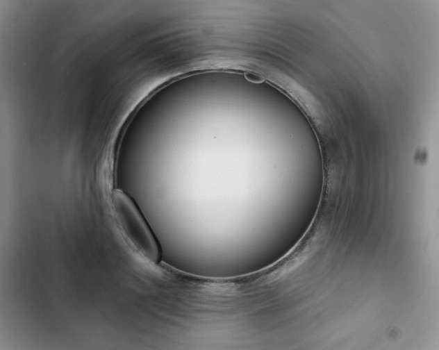 X0000102850844200808251201
