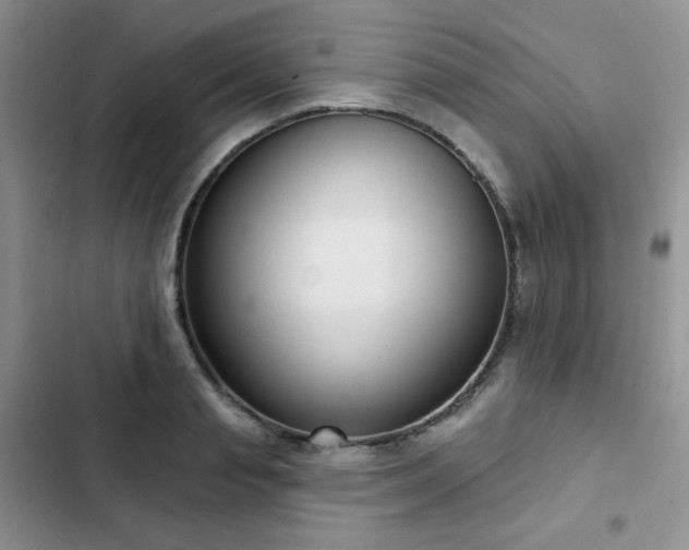 X0000102850845200808251201