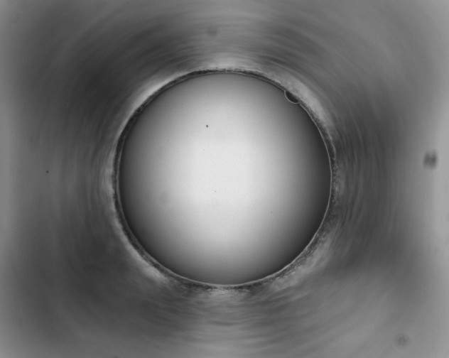 X0000102850847200808251201