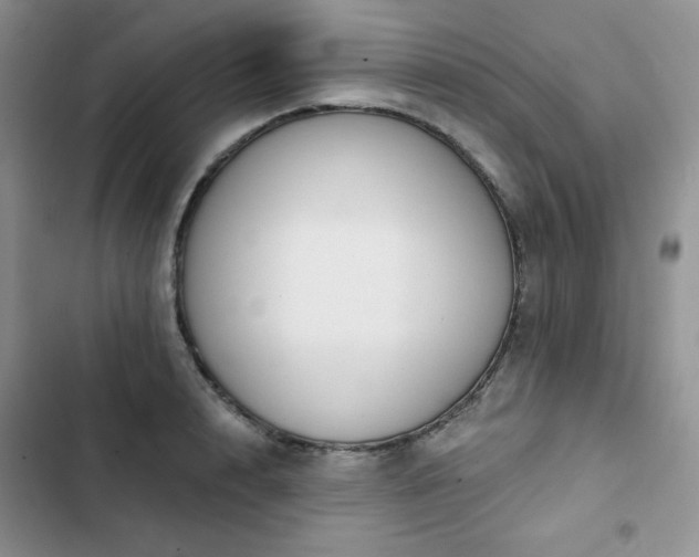 X0000102850848200808251201