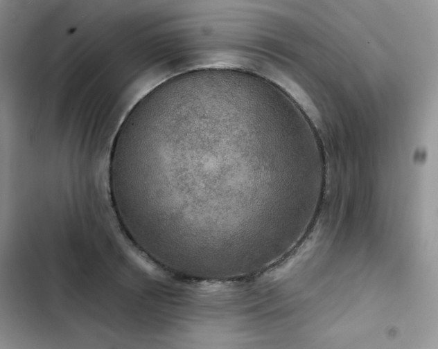 X0000102850850200808251201