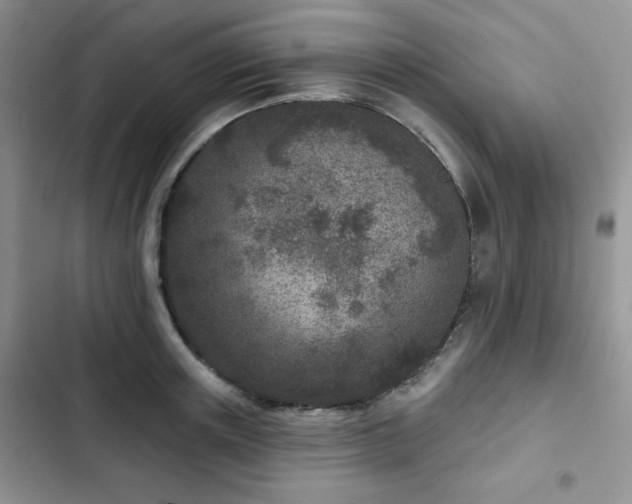 X0000102850851200808251201