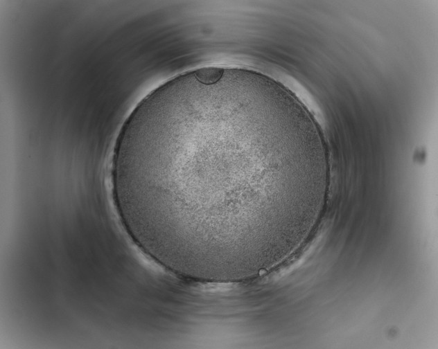 X0000102850853200808251201