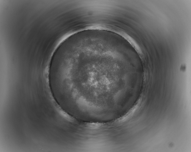 X0000102850854200808251201
