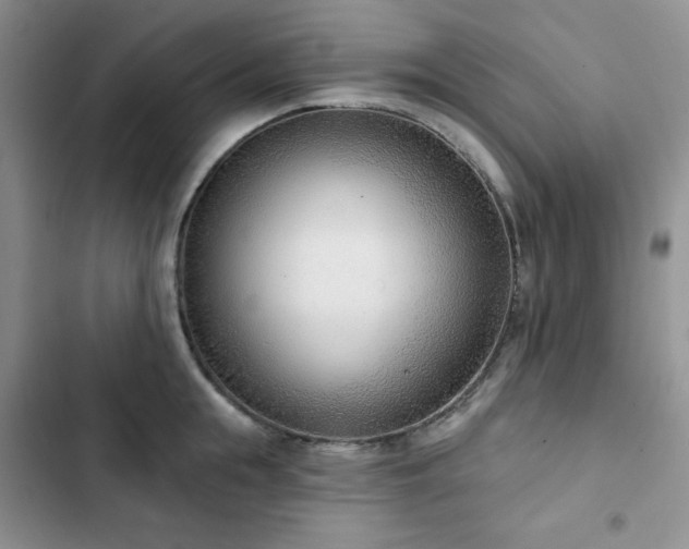 X0000102850855200808251201