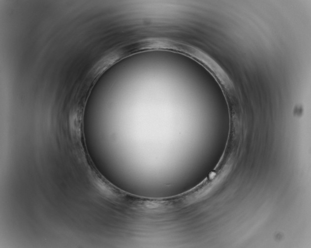 X0000102850857200808251201