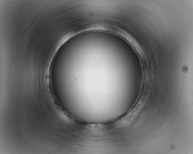 X0000102850858200808251201