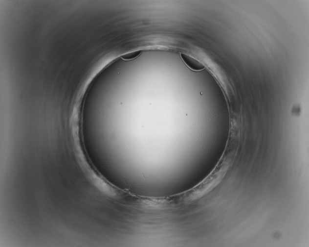 X0000102850859200808251201