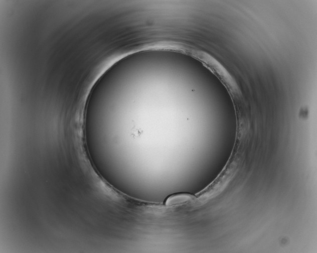 X0000102850860200808251201