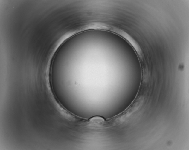 X0000102850861200808251201