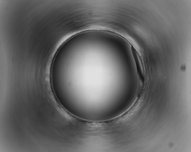 X0000102850862200808251201