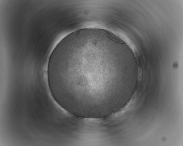 X0000102850863200808251201