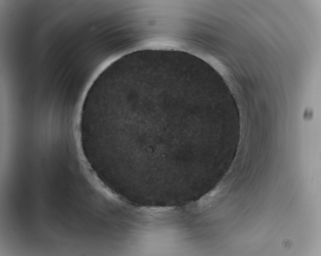 X0000102850864200808251201