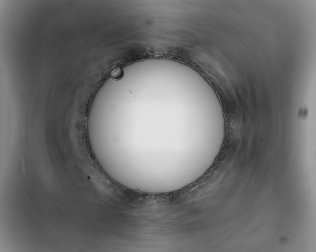 X0000102850865200808251200