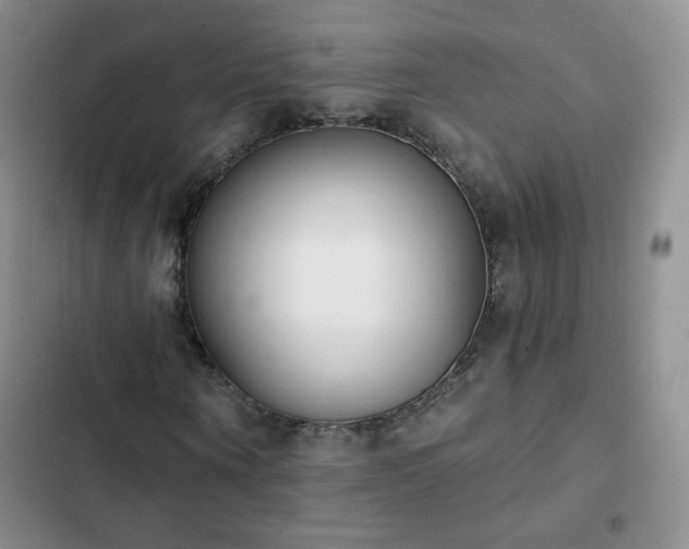 X0000102850866200808251200
