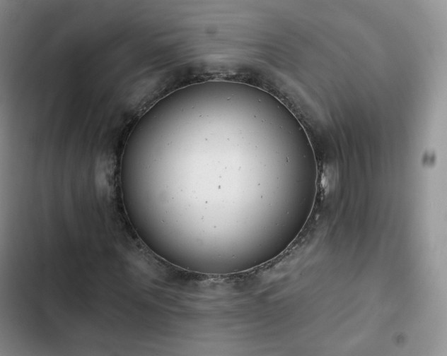 X0000102850867200808251200