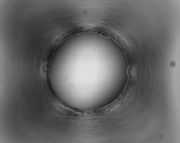 X0000102850868200808251200