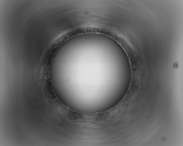 X0000102850870200808251200