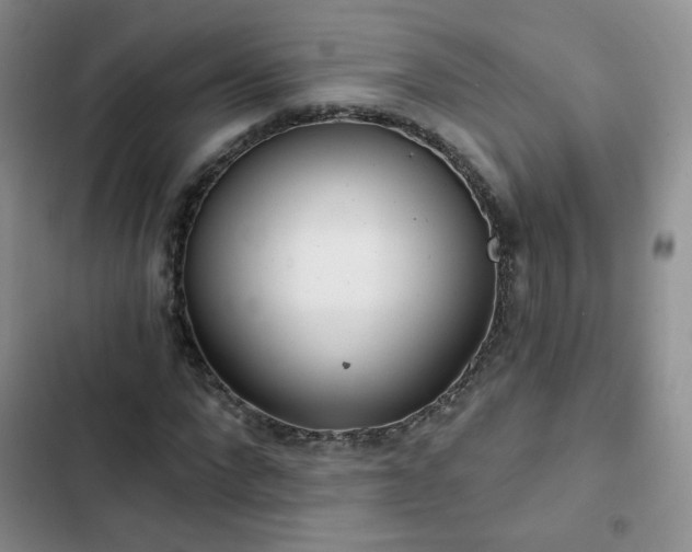 X0000102850872200808251200