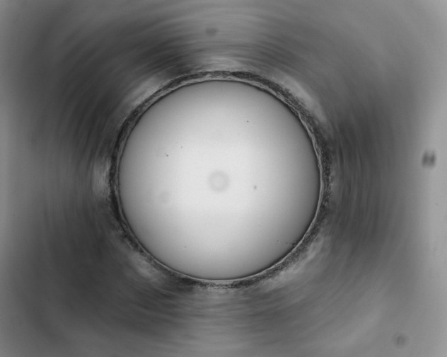 X0000102850873200808251200
