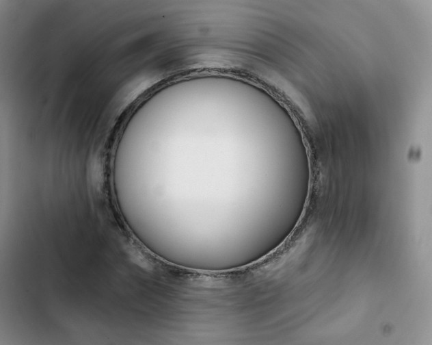 X0000102850874200808251200