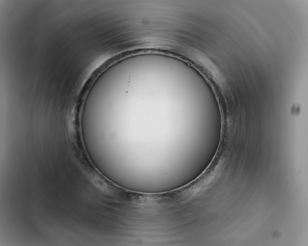 X0000102850875200808251200