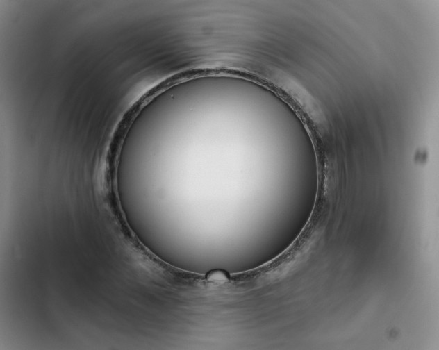 X0000102850876200808251200
