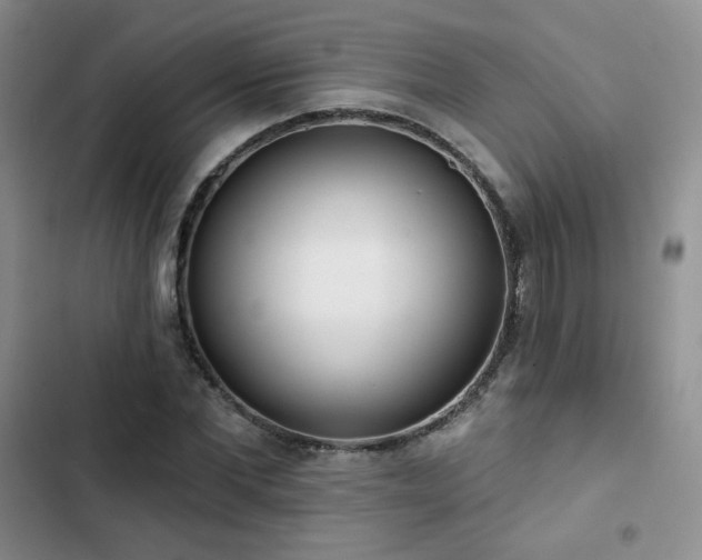 X0000102850877200808251200