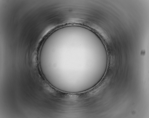 X0000102850878200808251200
