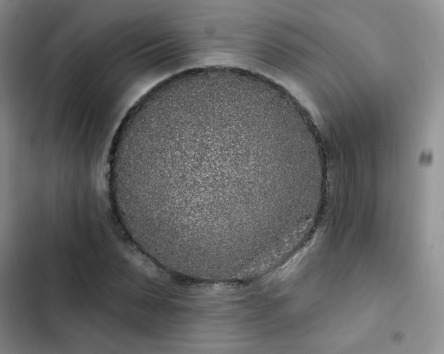 X0000102850879200808251200