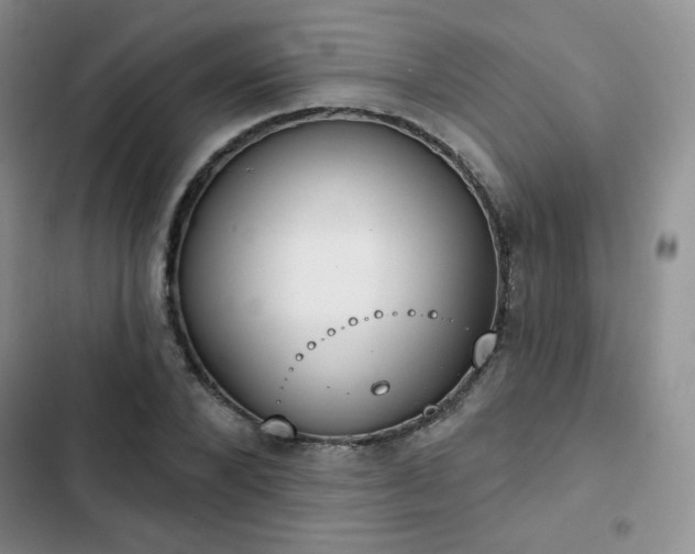 X0000102850880200808251200